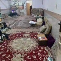 اجاره زیرزمینی به مساحت 135متر|اجارهٔ خانه و ویلا|قم, چهل درخت‎|دیوار
