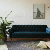 همخونه-خانم