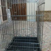 قفس|لوازم جانبی حیوانات|قزوین, |دیوار