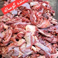 گوشت گوساله تازه ویژه کترینگ و رستوران|خوردنی و آشامیدنی|تهران, پرستار|دیوار