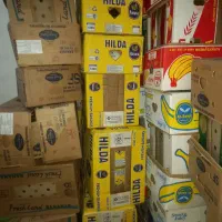 فروش کارتن موزی