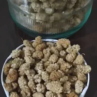 توت خشک شیرین و خوشمزه |خوردنی و آشامیدنی|شاهدشهر, |دیوار