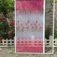 اتوری پلیسه کشوی