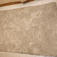 دو عدد فرش|فرش|مشهد, هفت تیر (حافظ)|دیوار