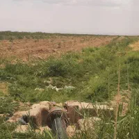 ۸هکتار زمین کشاورزی/باغ پسته/آب چاه عمیق|فروش دفتر صنعتی، کشاورزی، تجاری|نیشابور, هفده شهریور|دیوار