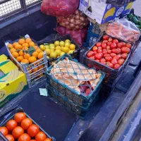 استخدام فروشنده