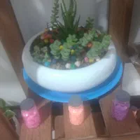 تعویض گل آپارتمانی با پرنده خونگی یا ماهی اکواریمی|گل و گیاه طبیعی|کهریزک, |دیوار