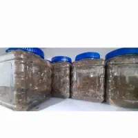 ترشی بادمجان خانگی(رودخانه)