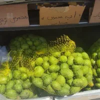 انبه نوبرانه درجه یک میناب