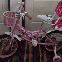 دوچرخه ۱۶ در حد آکبند کم کارکرد صورتی|دوچرخه، اسکیت، اسکوتر|هشتگرد, شهرک بوستان|دیوار