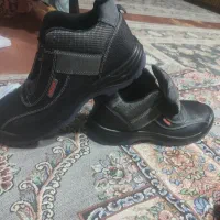 کفش ایمنی|کیف، کفش، کمربند|مبارکه, |دیوار