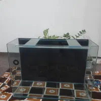 اکواریوم