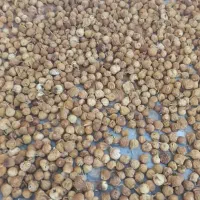 انجیر درجه یک استهبان شیراز عمده و خرده
