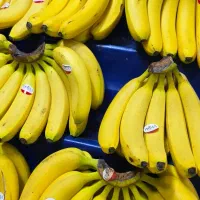 کارگر میوه فروشی