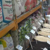 شراکت در فروشگاه برنج و حبوبات
