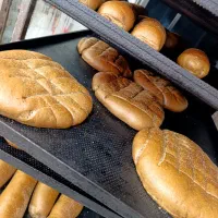 نان های حجیم فانتزی|خوردنی و آشامیدنی|آستارا, |دیوار