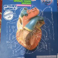 همه نو هستن