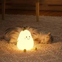 چراغ خواب سیلیکونی کدو،گلابی،دایناسور نسخه سفارشی|چراغ خواب و آباژور|مشهد, امام خمینی|دیوار