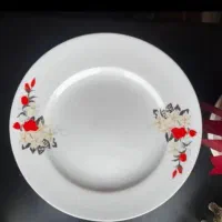 چینی زرین|ظروف سرو و پذیرایی|بوشهر, |دیوار