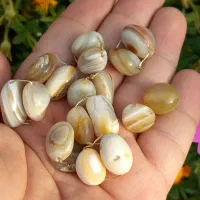 مهره بُرد سایز ریز
