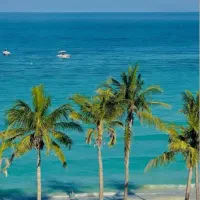 همسفر برای کیش|فعالیت داوطلبانه|فولادشهر, مسکن مهر فولادشهر|دیوار