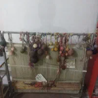 دار تابلو فرش نصفه کاره