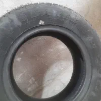 لاستیک تیبا، بارز