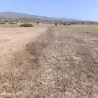زمین واگذاری جدید