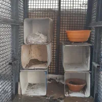 فروش قفس آهنی بزرگ.