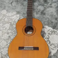 گیتار ARIA AK80