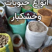 لوبیا سفید وحبوبات عمده ۱۱۰