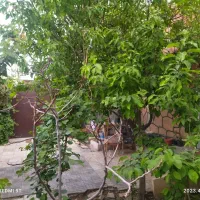 اجاره سوئیت ویلای شاندیز