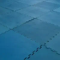 شستشوی تاتامی و چمن مصنوعی|خدمات نظافت|اهواز, کیانپارس |دیوار