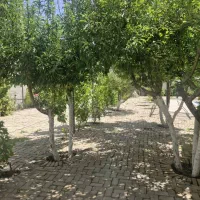 باغچه-چهاردیواری-هشتگرد-انشعابات-کامل