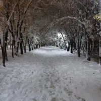 دفتر-کار-اداری-و-تجاری-مسکونی