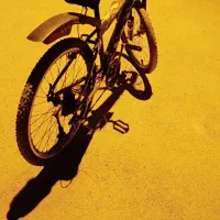 دوچرخه ویوا 24 شادگان