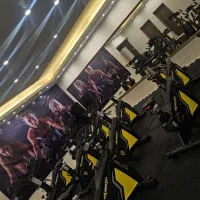 مربی اسپینیگ