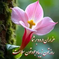 نیرو جهت نانوایی