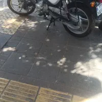 طرح باکسر تیزپرتوس کم کار تمیز