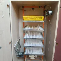 دستگاه جوجه کشی سینا 210 تایی تمام اتوماتیک|لوازم جانبی حیوانات|قم, وادی السلام|دیوار