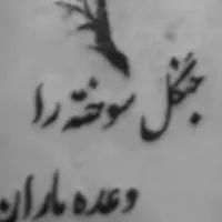 کارت سوخت گمشده