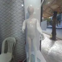 قفسه مغازه|فروشگاه و مغازه|سنقر, |دیوار