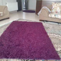 فرش شگی|فرش|شیراز, ابیوردی|دیوار