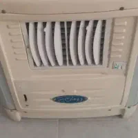کولرابی