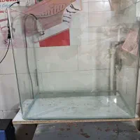 آکواریوم شیشه خم