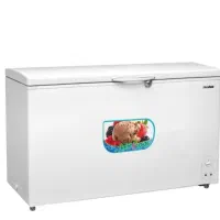 فریزر صندوقی تکنوسان 350 لیتری