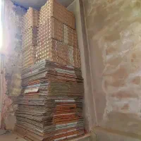 کارتن و شونه خالی تخم مرغ