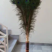 گلدان پر طاووس واقعی