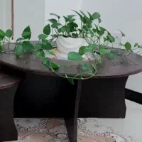 جلومبلی‌با‌چهارتا‌میزعسلی