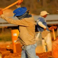 نیازمند کارگر افغانی تمام وقت